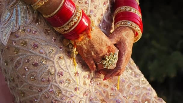 Mulher Bonita Vestida Casamento Tradicional Indiano Imagens Alta Qualidade — Vídeo de Stock