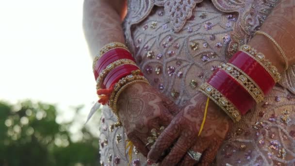 Mulher Bonita Vestida Casamento Tradicional Indiano Imagens Alta Qualidade — Vídeo de Stock