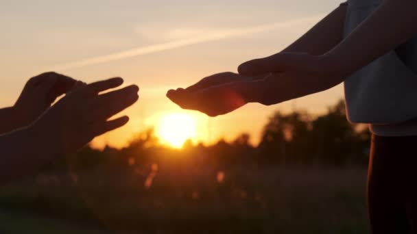 母と子供は日没時に手を携えています 子供が母親の手を取るようにシルエット そうだ 高品質4K映像 — ストック動画