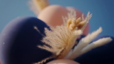 Çiçeklerin renkleri solmuş düğün süslemeleri. Pampas Çimi. Düğün dekoru. Yüksek kalite 4k görüntü