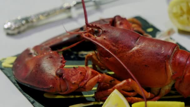 Foto Close Seup Dari Lobster Merah Piring Konsep Makanan Rekaman — Stok Video