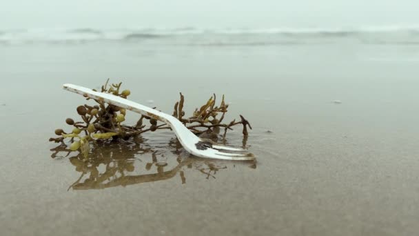 Närbild Plastskräp Sandstranden Ekologi Miljöförorening Högkvalitativ Film — Stockvideo