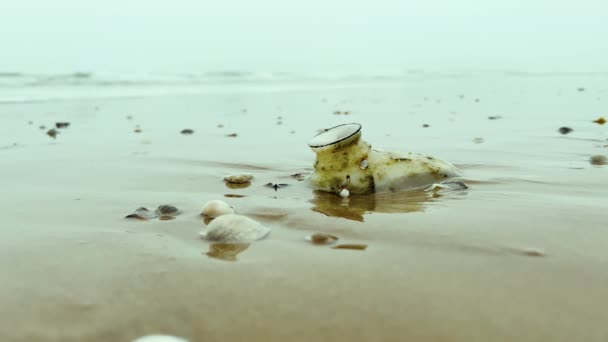 Vista Vicino Della Spazzatura Plastica Sulla Spiaggia Sabbia Ecologia Inquinamento — Video Stock