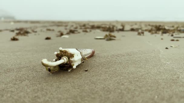 Riprese Ravvicinate Spazzatura Plastica Sulla Spiaggia Sabbia Ecologia Inquinamento Ambientale — Video Stock