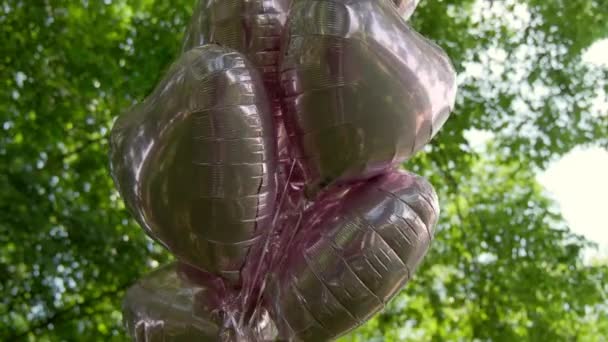 Ballons Contre Une Forêt Verte Joyeux Anniversaire Décoration Fermer Les — Video