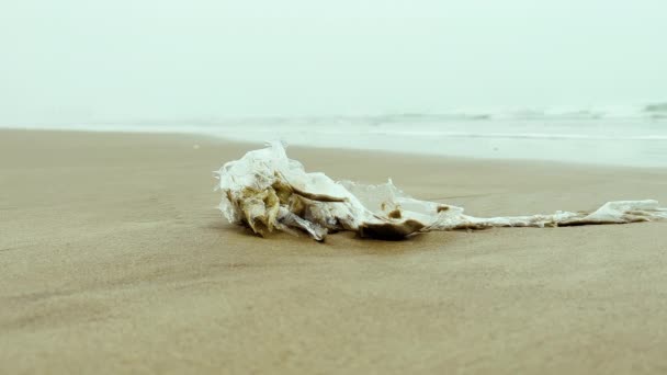 Zamknij Nagranie Plastikowych Śmieci Piaszczystej Plaży Ekologia Zanieczyszczenie Środowiska Słoneczny — Wideo stockowe