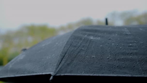 Druppels Regen Vallen Zwarte Paraplu Tijdens Een Regenachtige Dag Hoge — Stockvideo