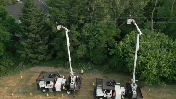 作業員による安全木のトリミングは 電力線に木の手足が侵入しないようにします 空中射撃だ 高品質4K映像 — ストック動画