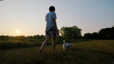 Kadın, gün batımında parkta sevimli Jack Russell Terrier hayvanıyla yürüyor. Yakın çekim. Yüksek kalite 4k görüntü