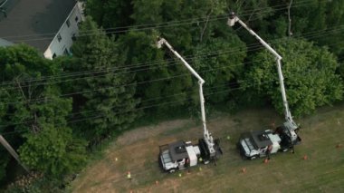 Geniş çekim. Ağaç dallarının elektrik kablolarına girmesini engellemek için işçi ekibinden güvenlik ağacı buduyorlar. Hava görüntüsü. Yüksek kalite 4k görüntü