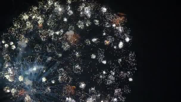 Gece Gökyüzünde Havai Fişekler Temmuz Yeni Yıl Kutlamaları Için Uygun — Stok video