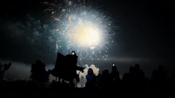 Silhouettes Group People Watching Fireworks Night Sky Suitable July 4Th — Vídeos de Stock