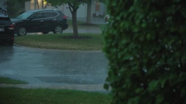 Şiddetli yağmur damlaları yağmur damlalarını sokağa düşürür. Fırtına günü. Yüksek kalite 4k görüntü