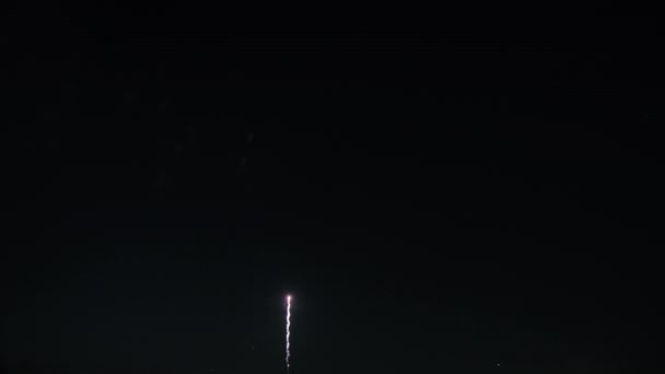 7月4日または新年のお祝いに適した夜空の花火 スローモーション映像 高品質の4K映像 — ストック動画