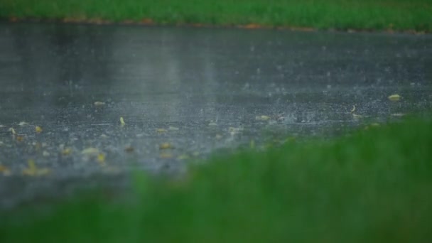 Zware Regendruppels Vallen Een Grote Plas Asfalt Waardoor Straat Overstroomt — Stockvideo