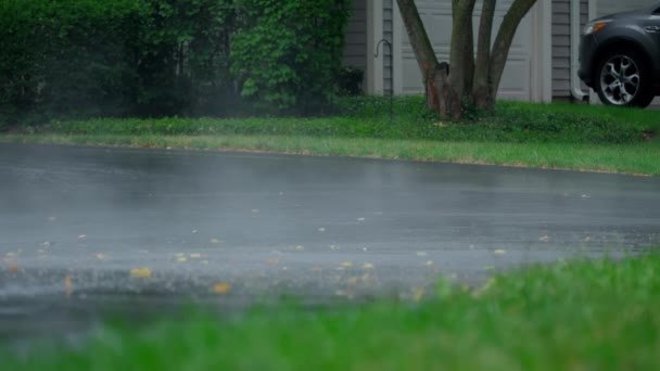 Ομίχλη Μετά Βροχή Μεγάλες Σταγόνες Νερού Πέφτουν Μια Μεγάλη Λακκούβα — Αρχείο Βίντεο