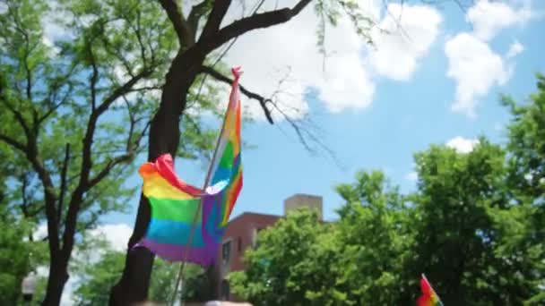 Bandera Del Símbolo Lgtbq Desfile Del Orgullo Cerca Chicago Imágenes — Vídeos de Stock