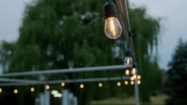 后院里的老式灯泡和派对灯高质量的4K镜头 — 图库视频影像