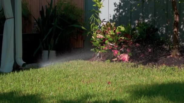Sprinkler Head Water Jet Watering Green Garden Rotating Sprinkler System — Stock Video