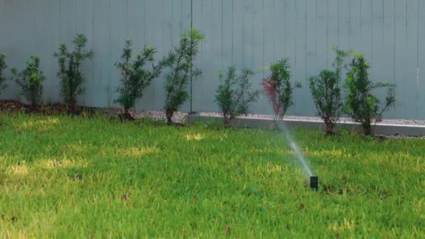 Cabeça Aspersor Com Jato Água Rega Jardim Verde Com Sistema — Vídeo de Stock