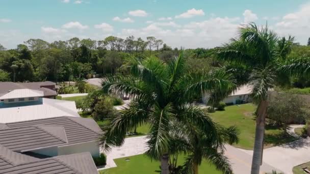 Aerial Chot Palm Trees House High Quality Footage — Stock Video
