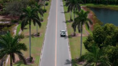 Uzun palmiye ağaçlarıyla kaplı bir dron yolun üzerinde uçuyordu. - Evet. Yüksek kalite 4k görüntü