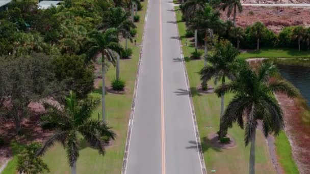 背の高いヤシの木が並ぶ道路のショットの上を飛行するドローン 高品質の4K映像 — ストック動画