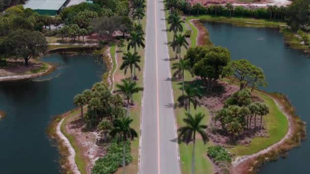 Weite Drohnenaufnahmen Vom Fliegen Über Von Hohen Palmen Gesäumten Straßen — Stockvideo