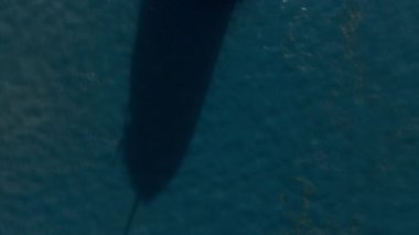 Kargo Bulk taşıyıcı gemisinin havadan çekilmiş görüntüsü. Yakın çekim. Yüksek kalite 4k görüntü