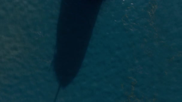 貨物バルクキャリア船のクルージングのショットの上の航空機 クローズアップショット 高品質の4K映像 — ストック動画