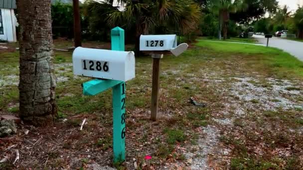 White Mailbox Flag Suburban Neighborhood Florida United States High Quality — Stock Video