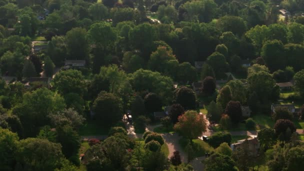 Wohnhäuser Vororten Sonniger Tag Über Der Luftaufnahme Hochwertiges Filmmaterial — Stockvideo