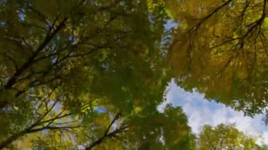 POV yukarıdan aşağıya bakıyor. Amerika 'nın varoş mahallesinde güzel bir sonbahar gününde. Yüksek kalite 4k görüntü