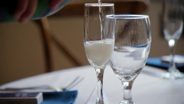 Gros Plan Serveur Verse Vin Dans Des Verres Lors Banquet — Video