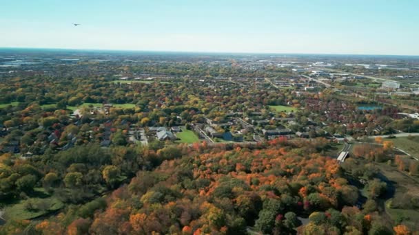 秋の森の信じられないほどのカラフルな空気の景色 郊外のカラフルな秋の木の上 高品質の4K映像 — ストック動画