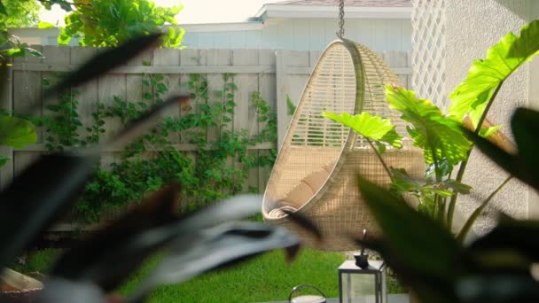 Krémové Židle Visí Tropické Zahradě Záběr Zblízka Vysoce Kvalitní Záběry — Stock video