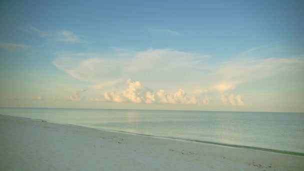 Adadaki Kumsal Deniz Dalgası Mavi Gökyüzü Yüksek Kalite Görüntü — Stok video