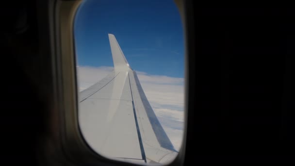 비행기 날개에서 항공기는 포트홀 승객에 있습니다 한국어 고품질 — 비디오