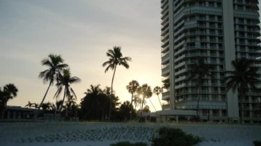 Kumsal, yakınındaki oteller, palmiye ağaçlarının arasından süzülen güneş ışıkları. Yüksek kalite 4k görüntü