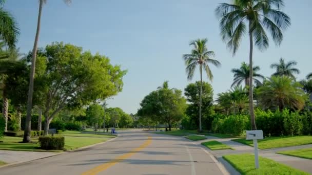 Point Wide View Pov Car Driving Street Naples Florida Road — Stock Video
