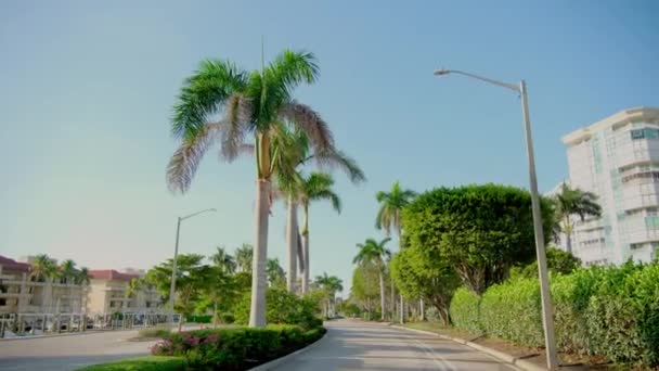 Точка Зору Pov Автомобіль Їде Вулиці Неаполі Флорида Дорога Машинами — стокове відео