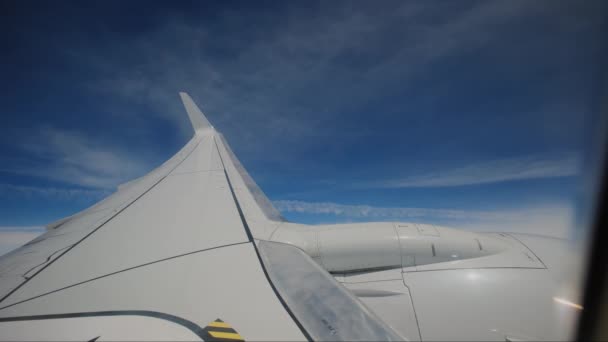 Samoloty Latające Chmurach Skrzydło Samolotu Błękitne Niebo Widziane Przez Pasażera — Wideo stockowe