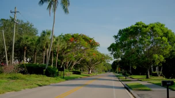 Προβολή Pov Αυτοκίνητο Οδήγηση Στο Δρόμο Στη Νάπολη Φλόριντα Οδική — Αρχείο Βίντεο