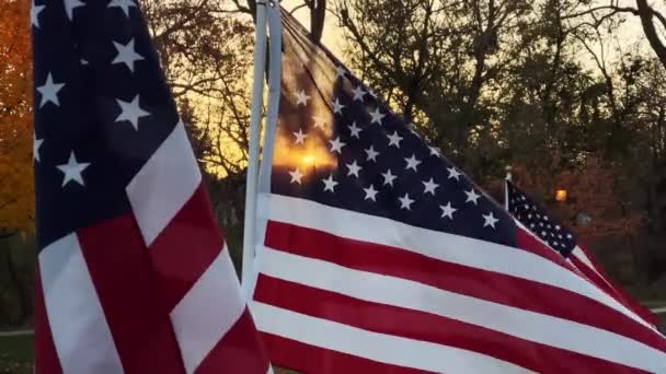 Lento Ondeando Muchas Banderas Estadounidenses Que Soplan Viento Atardecer Concepto — Vídeos de Stock