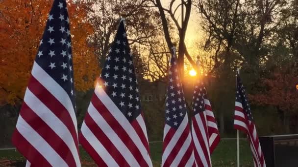 日落时分 缓慢地飘扬着许多在风中和阳光下飘扬的美国国旗 美国假日 7月4日 阵亡将士纪念日或退伍军人日的爱国观念 是的高质量的4K镜头 — 图库视频影像