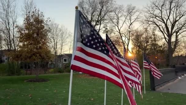 Agitando Muchas Banderas Estadounidenses Que Soplan Viento Atardecer Concepto Patriótico — Vídeos de Stock
