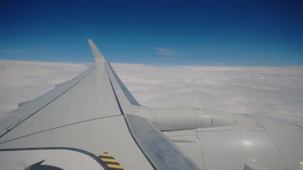 구름에 비행기의 비행기 비행기 포트홀 승객에 있습니다 한국어 고품질 — 비디오