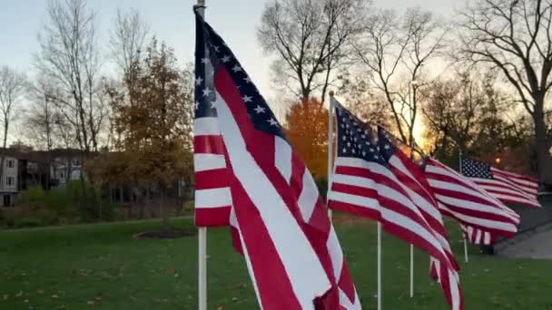 Agitando Muchas Banderas Estadounidenses Que Soplan Viento Atardecer Concepto Patriótico — Vídeos de Stock
