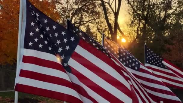 Banderas Estadounidenses Ondeando Lentamente Soplando Viento Luz Del Sol Atardecer — Vídeos de Stock
