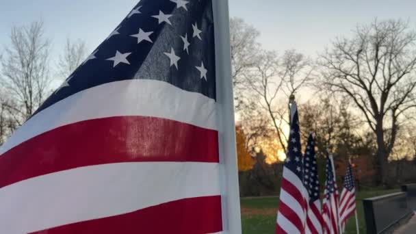 Размахивать Американскими Флагами Развевающимися Ветру Закате Патриотическая Концепция Праздников Сша — стоковое видео
